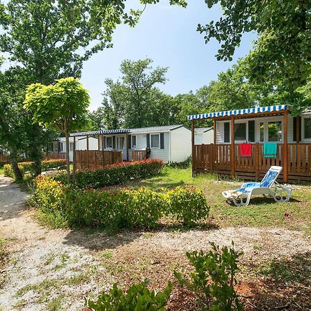 Albatross Mobile Homes On Solaris Camping Fkk-Naturist Porec Luaran gambar